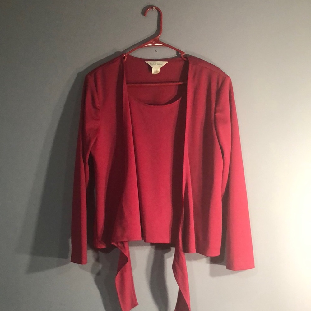 Pink Elizabeth Williams size large shirt two piece set only have the one piece